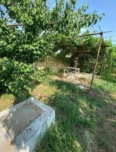 sumqayit 18 mikrorayon: Xaçmaz ş. Qobuqırağı/mürsəli qışlaq kəndi. 8 sot torpaq satilir yay — 5