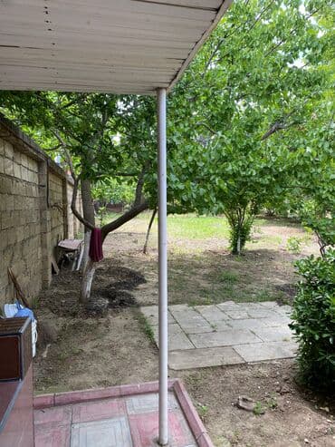 xoçəsən: 17 sot, Tikinti, Mülkiyyətçi, Bələdiyyə — 10