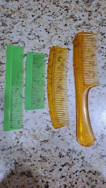 Daraq lalafo.az -da Daraq