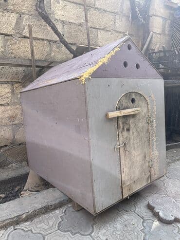 Gəmiricilər: Salam hər kəsə möhkəm materialla yiğilmiş tam əla vəziyyətdə yuva — 1