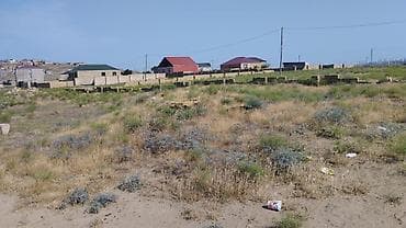 Tikinti, Bələdiyyə