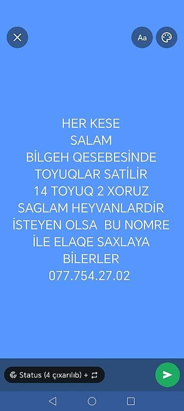 toyuq cuce satişi: Bilgəh qəsəbəsində toyuqlar satılır: 14 dene toyuq və 2 xoruz. Sağlam — 1