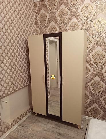 Məhsul: 3 qapılı dolab və salon üçün saç yuma kreslosu (iki rəng