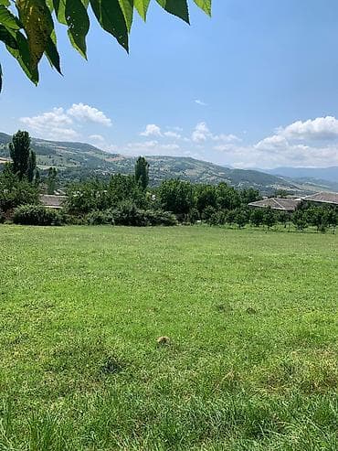 bakıda torpaq: 8 sot, Kənd təsərrüfatı, Mülkiyyətçi, Kupça (Çıxarış) — 1