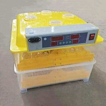 sud şağan aparat: Inkubatorlarin birinci əl satişi unversal inkubator inkubator 196 — 2