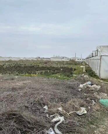 qaxda obyekt satilir: Tecili obyekt satilir!!! Zire Qesebesi, Qishlaqda 2 hektar 20 sot ve — 9