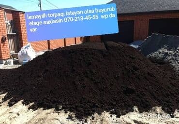 kalistamon agaci: Ağaclar — 1