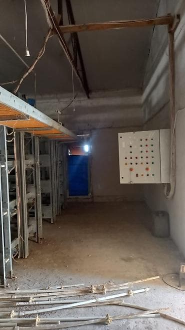 höfsan: Salam. Yumurtaliq toyuq avadaliği satilir 1defe istiyade olunub tam — 5