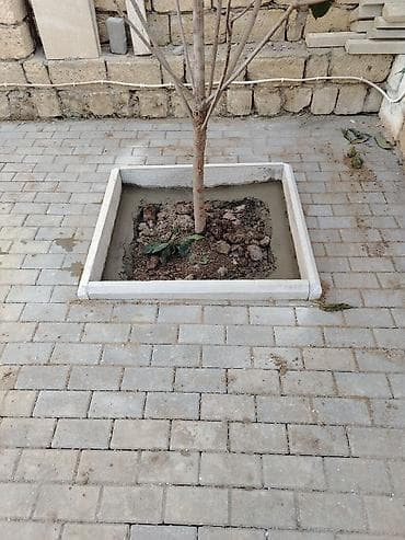 dirnaq uzadan lak: Tamet (bardür və səki daşı) döşəmə xidməti - Həyətyanı sahə, qaraj — 8