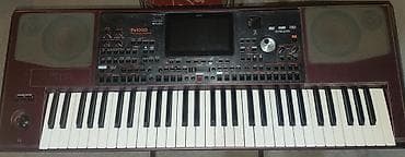 Sintezator, Korg, İşlənmiş