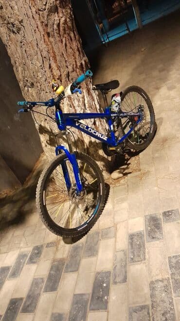 купить скейт круизер: Dağ velosipedi Velocruz, 26" — 1