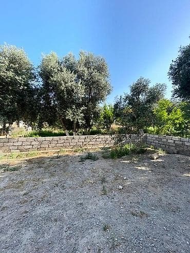 6 sot, Tikinti, Mülkiyyətçi, Kupça (Çıxarış) — 2