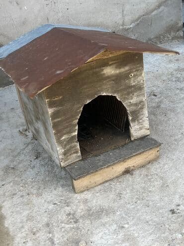 it üçün ip: İt Damı
Real alıcıya endirim var — 1