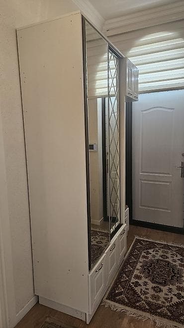 Dəhliz üçün funksional garderob-dolab dəsti. Real alıcıya endirim