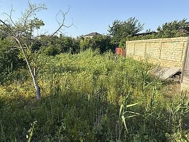 8 sot, Tikinti, Kupça (Çıxarış) — 2