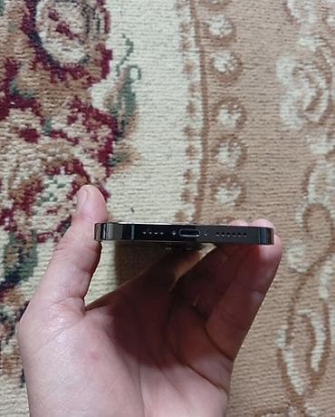 ipad 10 nəsil: IPhone 12 Pro Max, 256 GB, Graphite — 8