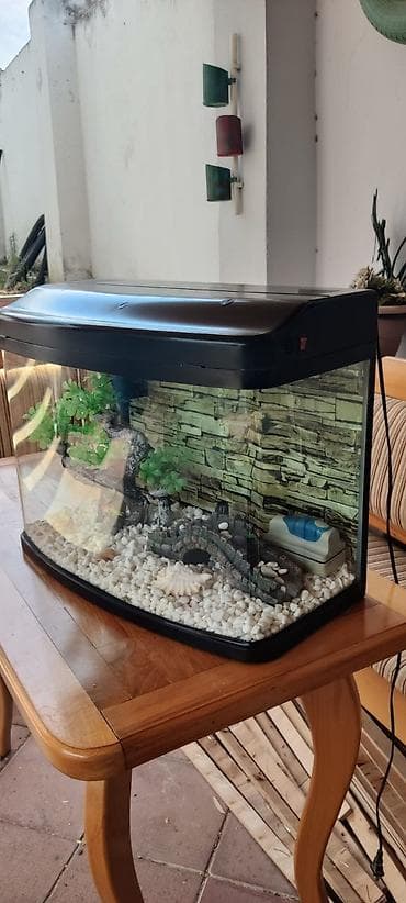 akva ayaqabılar: Ela veziyyetdedir. az iwlenib, icindeki ewyalarnan verilir — 3