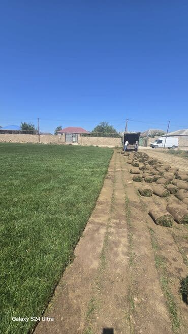 soxulcan gübrəsi: Təbii qazon rulonları landşaft dizaynı üçün əla seçimdir. Bu qazon — 2