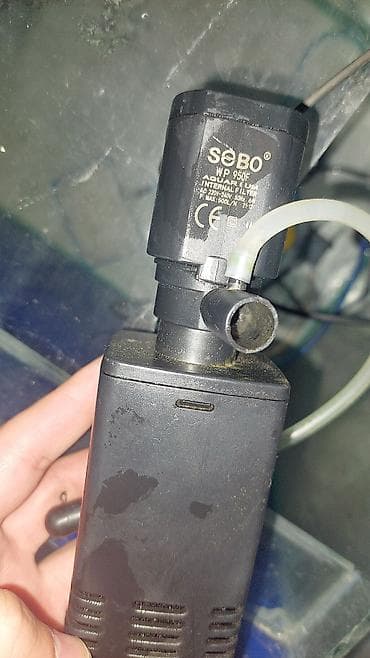 фильтр для аквариума: Akvaryum üçün filtrlər və hava nasosu dəsti - SEBO WP-505C Aquarium — 1