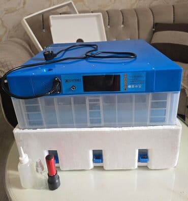 инкубатор купить: Китай, Полностью автоматическая — 2