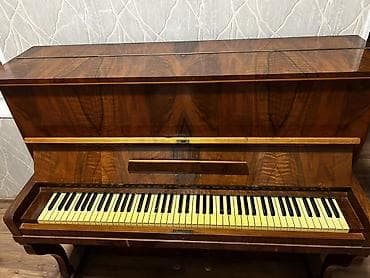 Velosiped ehtiyyat hissələri: Piano, Akustik — 4