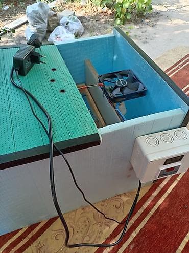 Yumurta inkubatoru - Elektron termostat və rəqəmsal temperatur lalafo.az -da Yumurta inkubatoru - Elektron termostat və rəqəmsal temperatur