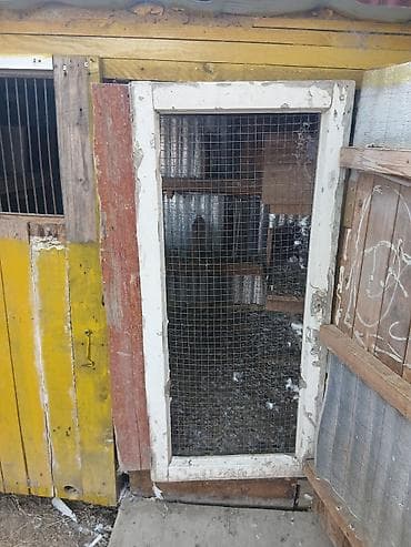Heyvanlar üçün mallar: Taxta Quşxana 30 40 ədəd quş tutur - Material: ağac karkas, daxili — 6