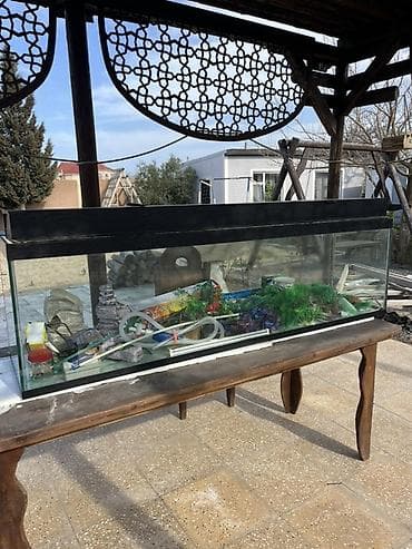 akvariu: Böyük ölçülü şüşə akvarium komplekti 180x50x40.Su tutumu 360 litr Tam — 4