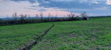 kiraye hovuzlu evler: 200 sot, Kənd təsərrüfatı — 9