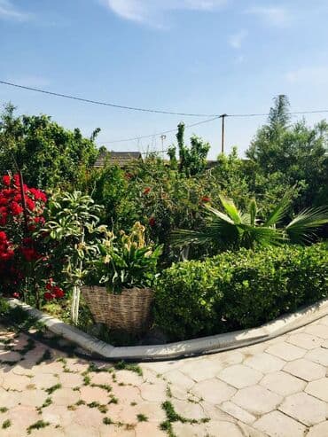 ev certiyojları: 100 kv. m, 2 otaqlı, Hovuzsuz — 15