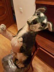 azərbaycan it adları: Oyuncaq İt. Çin istehsalı. Uzunluğu 75 sm. Qiyməti - 50 azn — 13