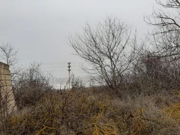 ferma icarəyə verilir: 25 sot, Tikinti, Mülkiyyətçi, Kupça (Çıxarış) — 5