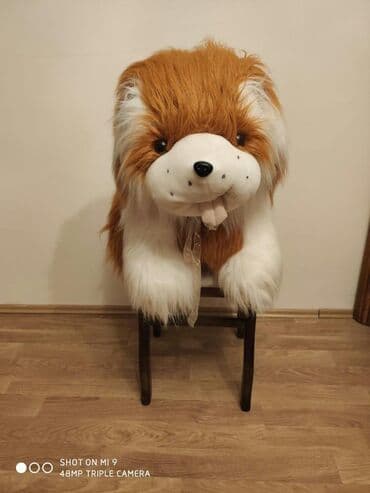 toy donlarl: Satilir.Yenidi — 4