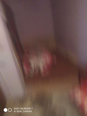 astara gunluk evlər: Kirayə verilən sadə yataq otağı salam sulu tepede yerleşen evin 1 — 2