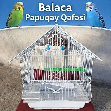 Balaca Qəfəs Satılır 🐦 ✔️ Papuqay, korella və digər kiçik quşlar üçün