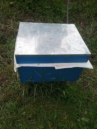 karpat ana arı: Arı ailələri satılır ana ilə anasız yeşik ilə yeşiksiz ramka hesabı — 2