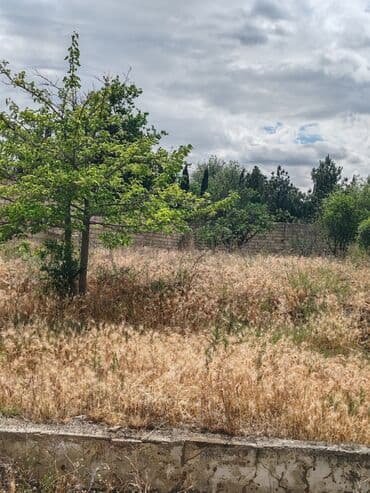 binə emlak: 17 sot, Tikinti, Maklerlər narahat etməsin, Kupça (Çıxarış) — 5