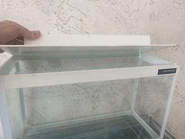 afcarka balasi erkey: Dördbucaq akvarium, Boş, 15 l, Ünvandan götürmə, Ödənişli çatdırılma — 3