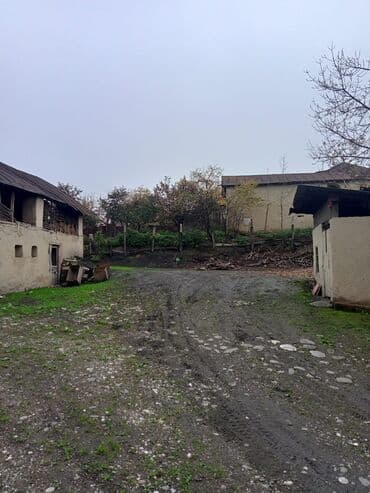 montinde heyet evleri: Həyətyanı ev və torpaq sahəsi - Geniş həyətyanı sahə: həyətin — 8