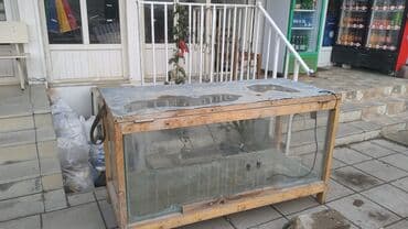 akvarium 120 cm: Təcili satılır — 1