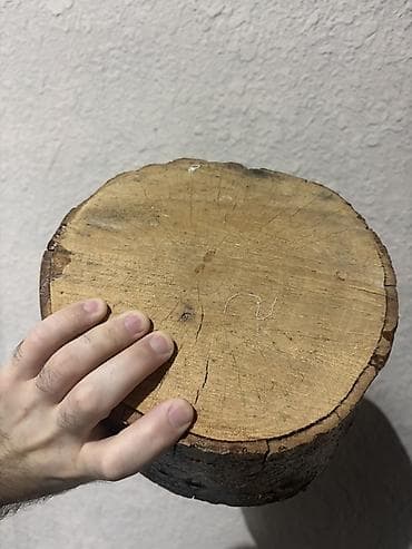 Təbii ağacdan dairəvi kəsik (taxta dilim) - Material: bərk ağac — 2
