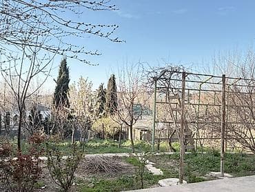 zigda ucuz heyet evleri: Salam olsun hamiya Oz heyetimde 6 sot torpaq sahesi satiram,qaz,su — 2