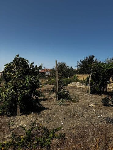 xacmazda torpaq: 15 соток — 3