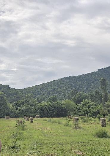 144 sot, Kənd təsərrüfatı, Mülkiyyətçi, Kupça (Çıxarış) — 2