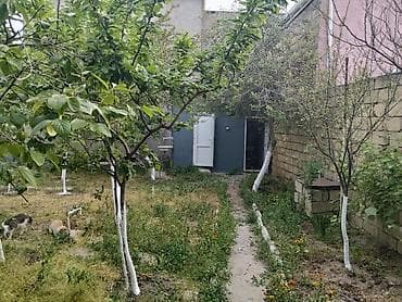 kiray ev: Bağ sahəsi və kiçik həyət evi - Möhkəm hasarla əhatələnmiş həyət; — 3