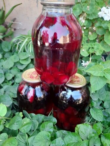 Kaktus meyvəsinin kompotu. Şəkər xəstələri üçün dərmandır. Çox