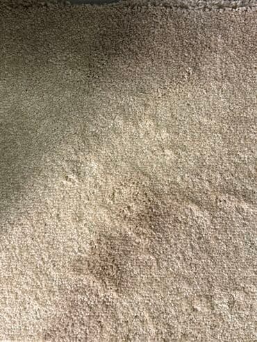 ковролит: Kovrolitler 7 manadan bawlayir her zovqe ve her obyekde isdifade etmek — 7