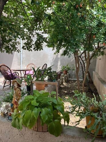 resulzade: Пос. М. Э. Расулзаде 4 комнаты, 110 м², Нет кредита — 4