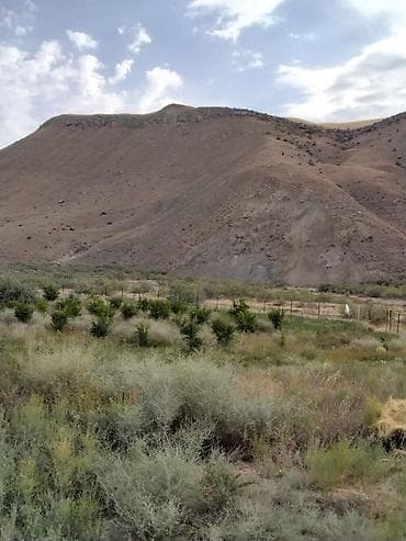 baki bina evi: 100 sot, Kənd təsərrüfatı, Mülkiyyətçi, Kupça (Çıxarış) — 4