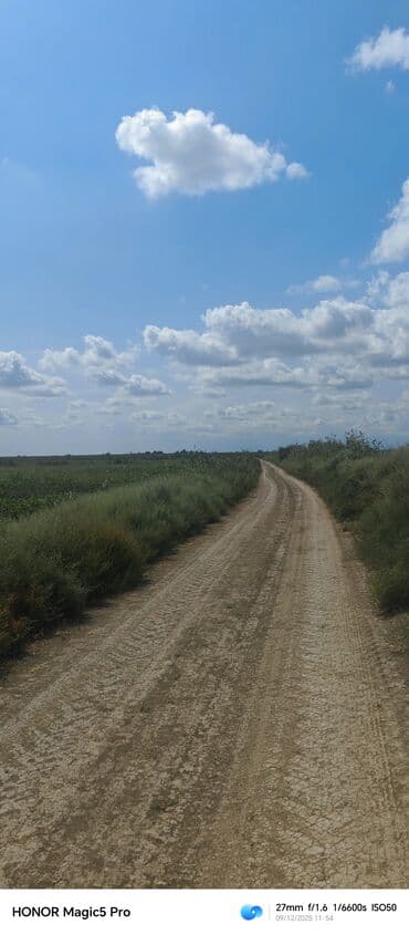 mingecevirde kiraye evler 2019: 257 sot Kənd təsərrüfatı — 5